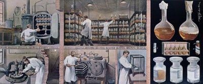 Preparing serums to combat tuberculosis, from Les Animaux, c.1900 by French School