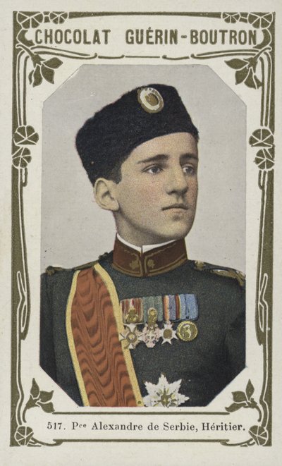 Prince Alexander of Serbia, Heir by French School