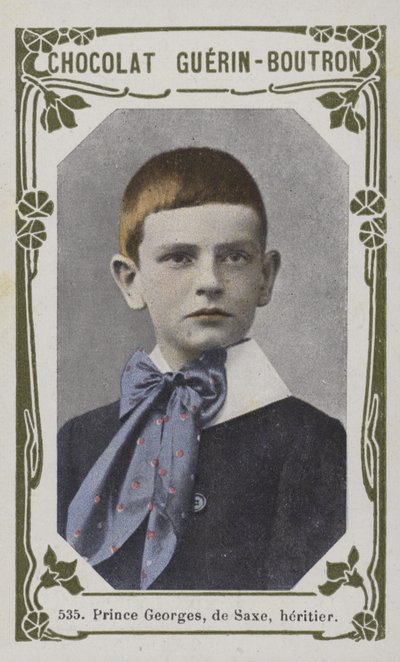 Prince Georges of Saxony, Heir by French School