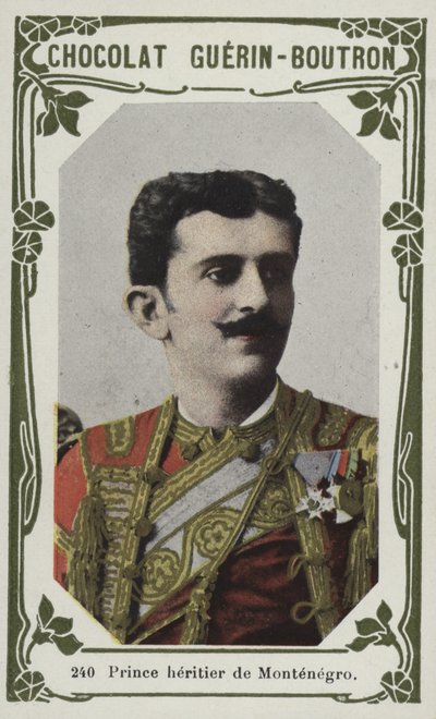 Crown Prince of Montenegro by French School
