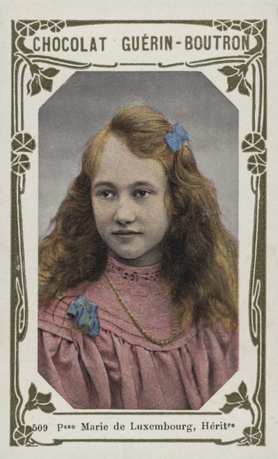 Princess Marie of Luxembourg, Heiress by French School