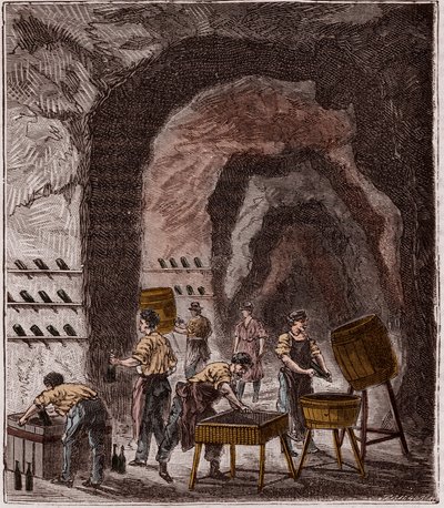 Production of Champagne - Engraving in 