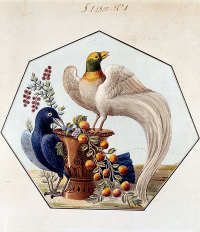 Project for the Table of Birds in Porcelain by Alexandre Brongniart. 1810 Sevres, Archives of the Manufacture de Sevres by French School