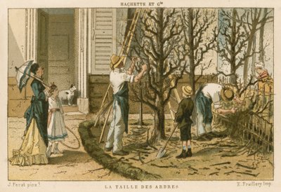 Pruning Trees by French School