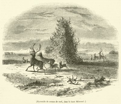 Pyramid of Deer Antlers, in Upper Missouri by French School