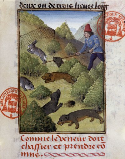 Rabbit Hunt, from 