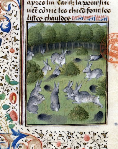 Rabbits - in Hunting Book of Gaston Phoebus, Count of Foix, Lord of Béarn by French School