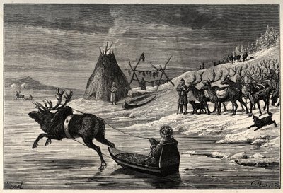 Reindeer Herd in Lapland - engraving from 