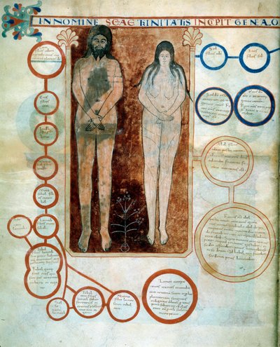 Representation of Adam and Eve, the red medallions represent the line of Cain, destroyed by the Deluge. Miniature illustrating the comments of 