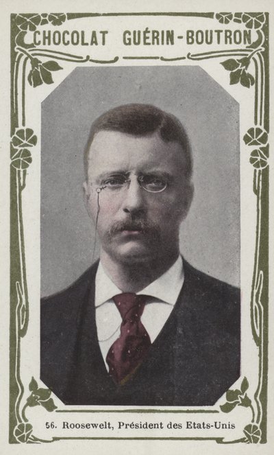 Roosevelt, President of the United States by French School