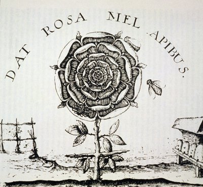 Rosicrucian Allegory, copy of an engraving by Johann Theodore de Bry (c.1598), used in a History of Magic, published late 19th century by French School
