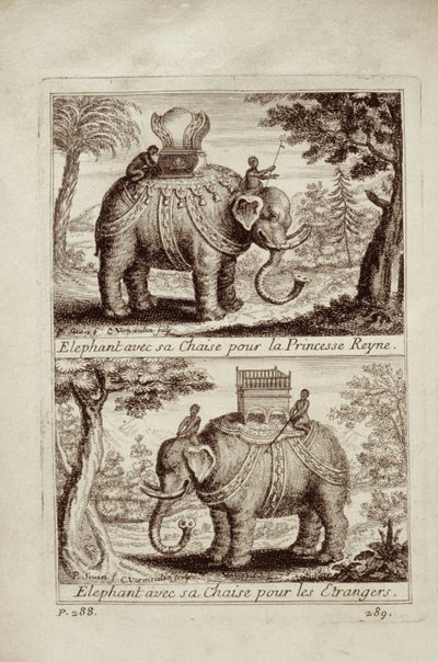 Royal elephants, from Voyage du Siam des Peres Jesuites by Guy Tachard, 1688 by French School