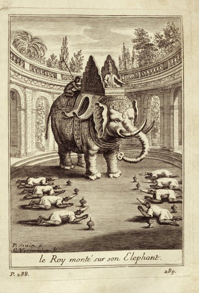 Royal elephants, from Voyage du Siam des Peres Jesuites by Guy Tachard, 1688 by French School