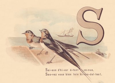 S: Winter season having come, Save yourself far away swallows! by French School