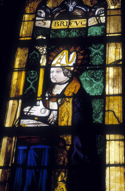 Saint Brieuc - stained glass of the Church of Saint Savior of Dinan by French School