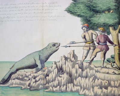 Sea Lion near the Strait of Magellan by French School