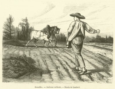 Sowing, Ancient Method (engraving) by French School