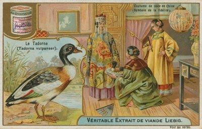 Shelduck; Wedding Gift in China by French School