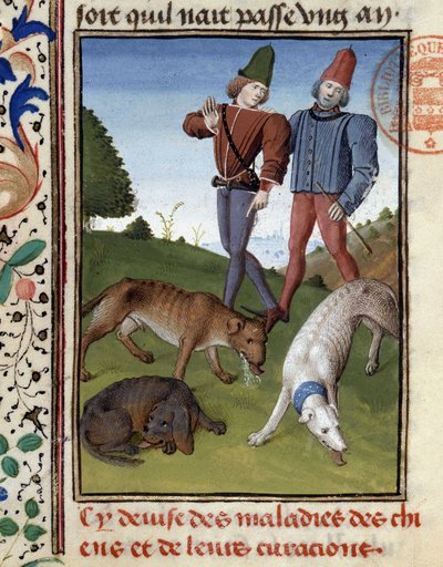 Sick Hunting Dogs - in Hunting Book of Gaston Phoebus, Count of Foix, Lord of Béarn by French School