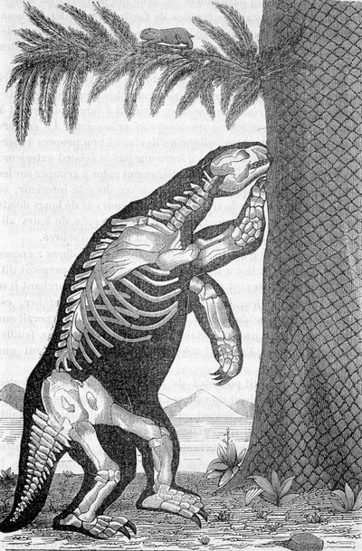 Skeleton of megatherium - in 