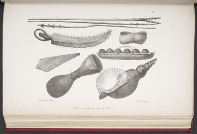 Spears and Utensils of the Island of Radak, from 