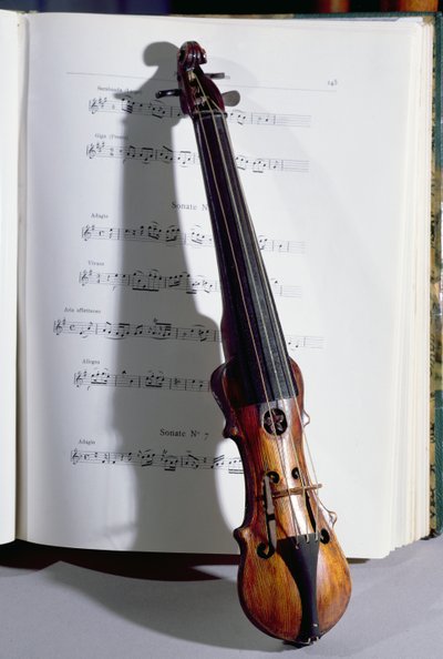 Stringed instrument of a dance master by French School