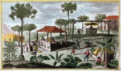 Sugar production in the West Indies, detail of 00155 - in 