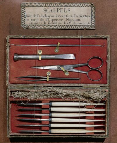 Surgical instruments used for the dissection of Emperor Napoleon I by French School