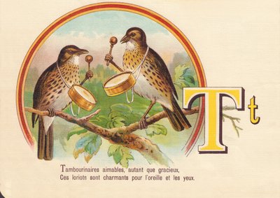 Tambourinarians kind, as much as graceful, These loriots are charming for the ear and eyes by French School