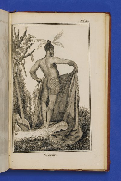 Tacouri, Illustration from 
