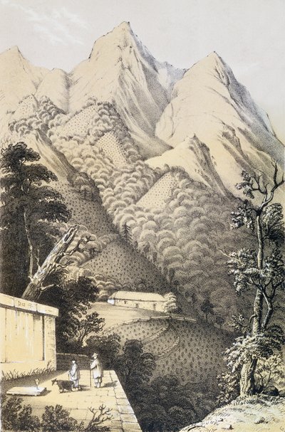 Tea Plantations in the Green Tea District of China, from A Journey to the Tea Countries of China, First Published 1852, by Robert Fortune by French School