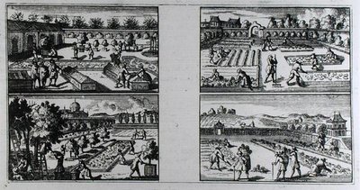 Tending a garden, from 