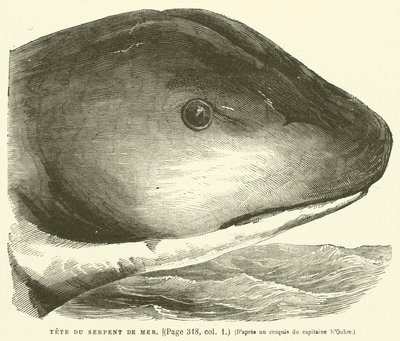 Head of the Sea Serpent by French School