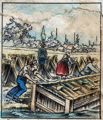 Textile, linen. Flax rust: To separate straw filaments, flax boots are dipped in water by French School