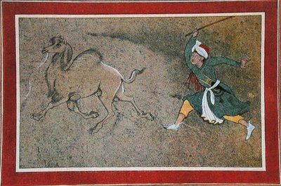 The Angry Camel Driver, Illustration from 