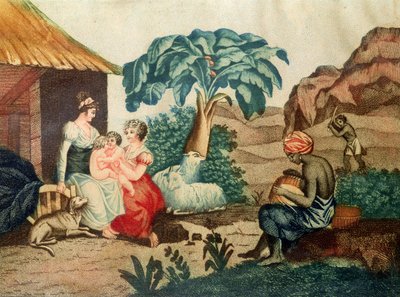 The Childhood of Paul and Virginie, from 