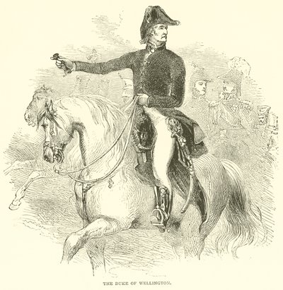 The Duke of Wellington by French School