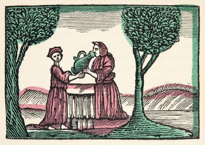 The Fairy from Histories or Tales of Past Times Told by Mother Goose, With Morals, by M. Perrault, pub. 1925 (hand coloured woodblock print) by French School