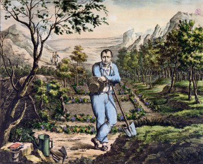 The Gardener of St. Helena by French School