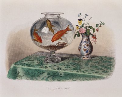 The Goldfish (goldfish in their jar) - in 
