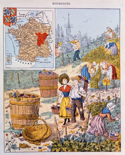 The Grape Harvest in Burgundy (illustration from a school textbook, c.1910) by French School