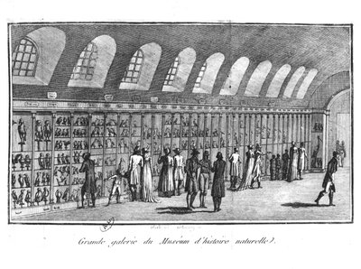 The Great Gallery of the Museum of Natural History in Paris by French School