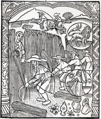 The Month of August, from a Shepherd