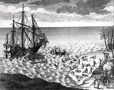The Pelican Sinking near the Coast, from Histoire de l