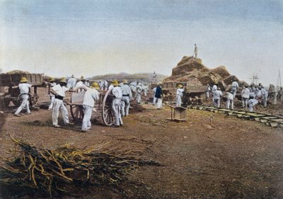 The Prisoners at Work at the Noumea Penal Colony in New Caledonia, engraved by Gillot by French School