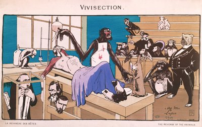 The Revenge of the Animals, Caricature of Vivisection by French School