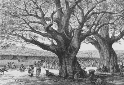 The Royal Residence at Aouabou, Illustration from 
