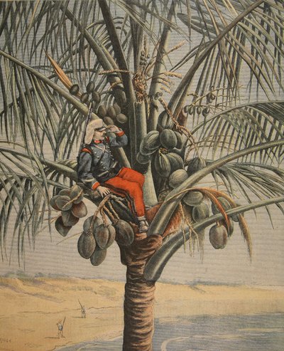 The Spanish American War by French School