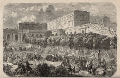 The Versailles Orangerie - Orangerie du chateau de Versailles - engraving in 
