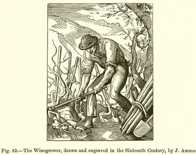 The Winegrower by French School